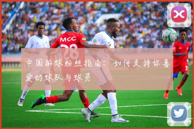 中国排球粉丝指南:如何支持你喜爱的球队与球员