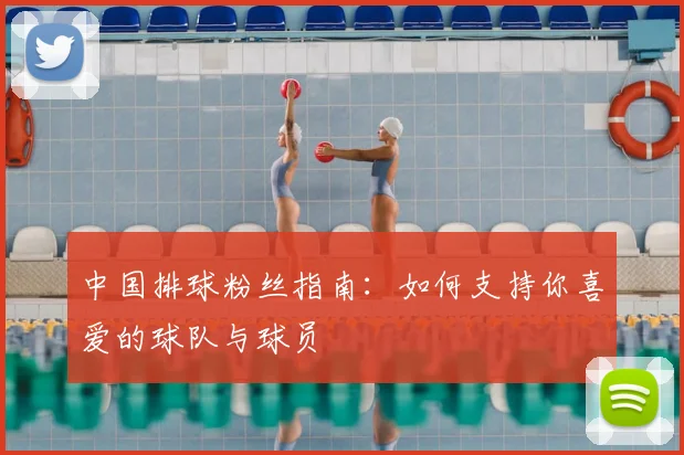 中国排球粉丝指南：如何支持你喜爱的球队与球员