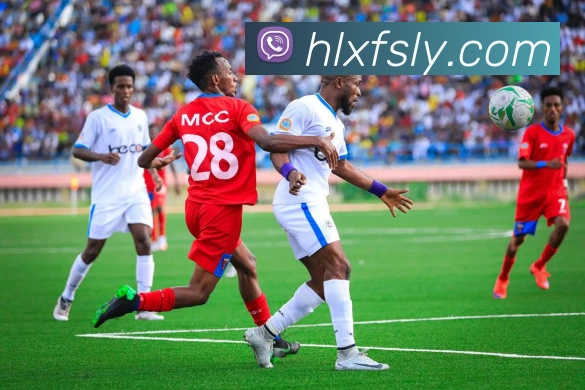 kaiyun云开体育发展历程